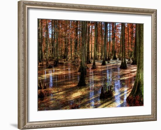 Heron Pond-Stephen Arens-Framed Photographic Print