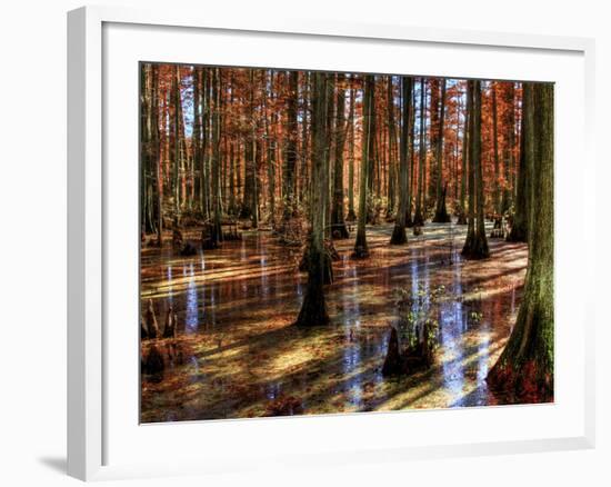 Heron Pond-Stephen Arens-Framed Photographic Print