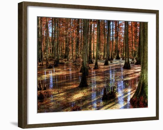 Heron Pond-Stephen Arens-Framed Photographic Print