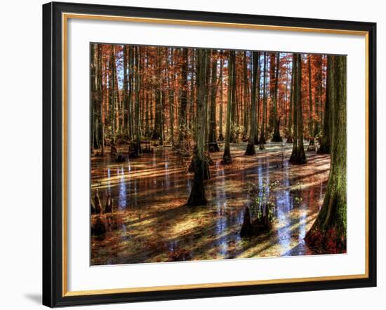 Heron Pond-Stephen Arens-Framed Photographic Print