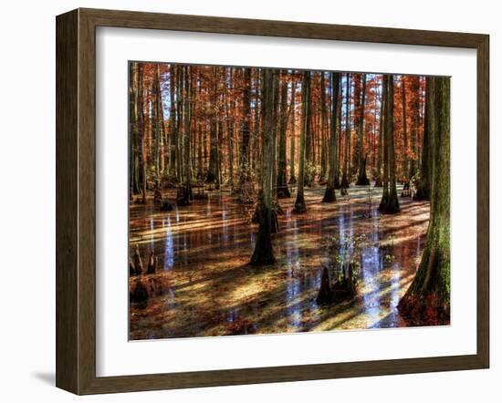 Heron Pond-Stephen Arens-Framed Photographic Print