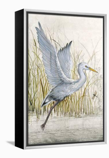 Heron Sanctuary I-Tim O'toole-Framed Stretched Canvas