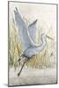 Heron Sanctuary I-Tim O'toole-Mounted Art Print