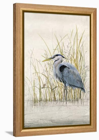 Heron Sanctuary II-Tim O'toole-Framed Stretched Canvas