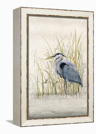 Heron Sanctuary II-Tim O'toole-Framed Stretched Canvas