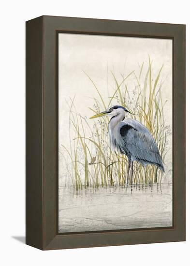 Heron Sanctuary II-Tim O'toole-Framed Stretched Canvas