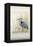 Heron Sanctuary II-Tim O'toole-Framed Stretched Canvas