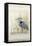 Heron Sanctuary II-Tim O'toole-Framed Stretched Canvas