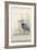 Heron Sanctuary II-Tim O'toole-Framed Art Print