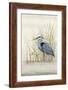 Heron Sanctuary II-Tim O'toole-Framed Art Print