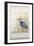 Heron Sanctuary II-Tim O'toole-Framed Art Print