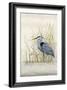 Heron Sanctuary II-Tim O'toole-Framed Art Print