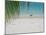 Heron Wading Along Water's Edge on Tropical Beach, Maldives, Indian Ocean-Papadopoulos Sakis-Mounted Photographic Print