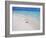 Heron Walking Along Waters Edge on Tropical Beach, Maldives, Indian Ocean-Sakis Papadopoulos-Framed Photographic Print