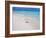 Heron Walking Along Waters Edge on Tropical Beach, Maldives, Indian Ocean-Sakis Papadopoulos-Framed Photographic Print