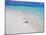 Heron Walking Along Waters Edge on Tropical Beach, Maldives, Indian Ocean-Sakis Papadopoulos-Mounted Photographic Print