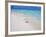 Heron Walking Along Waters Edge on Tropical Beach, Maldives, Indian Ocean-Sakis Papadopoulos-Framed Photographic Print