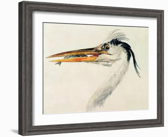 Heron with a Fish-J. M. W. Turner-Framed Giclee Print