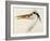 Heron with a Fish-J. M. W. Turner-Framed Giclee Print