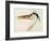 Heron with a Fish-J. M. W. Turner-Framed Giclee Print