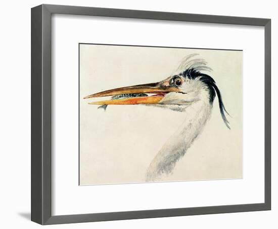 Heron with a Fish-J. M. W. Turner-Framed Giclee Print