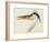Heron with a Fish-J. M. W. Turner-Framed Giclee Print