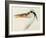 Heron with a Fish-J. M. W. Turner-Framed Giclee Print