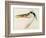 Heron with a Fish-J. M. W. Turner-Framed Giclee Print