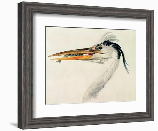 Heron with a Fish-J. M. W. Turner-Framed Giclee Print