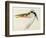 Heron with a Fish-J. M. W. Turner-Framed Giclee Print