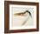 Heron with a Fish-J. M. W. Turner-Framed Giclee Print