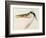 Heron with a Fish-J. M. W. Turner-Framed Giclee Print