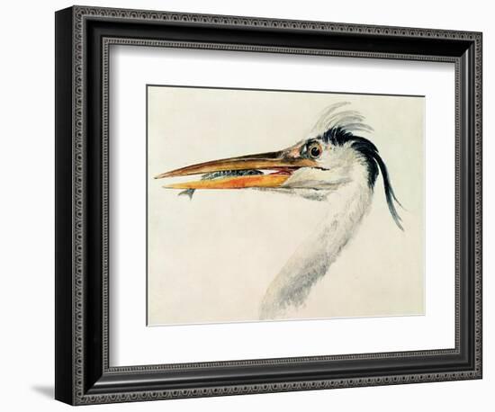 Heron with a Fish-J. M. W. Turner-Framed Giclee Print