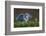 Heron with Chick-Xavier Ortega-Framed Photographic Print