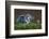 Heron with Chick-Xavier Ortega-Framed Photographic Print