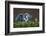 Heron with Chick-Xavier Ortega-Framed Photographic Print