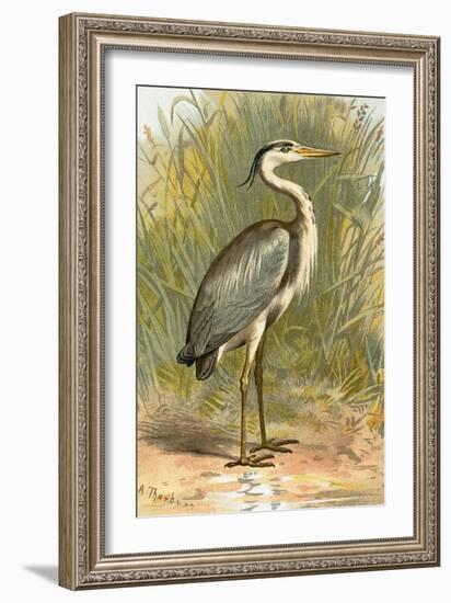 Heron-English-Framed Giclee Print