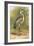 Heron-English-Framed Giclee Print