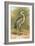 Heron-English-Framed Giclee Print