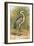 Heron-English-Framed Giclee Print