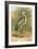 Heron-English-Framed Giclee Print