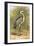 Heron-English-Framed Giclee Print