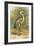 Heron-English-Framed Giclee Print