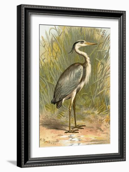 Heron-English-Framed Giclee Print