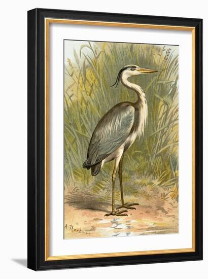 Heron-English-Framed Giclee Print