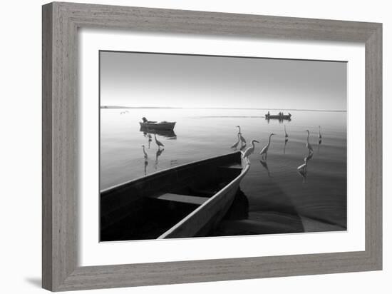 Herons and 3 Boats-Moises Levy-Framed Photographic Print