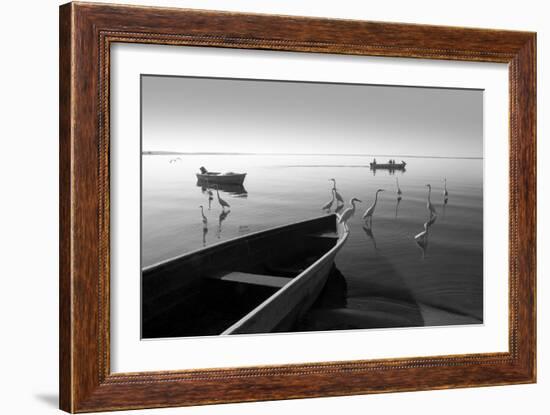 Herons and 3 Boats-Moises Levy-Framed Photographic Print