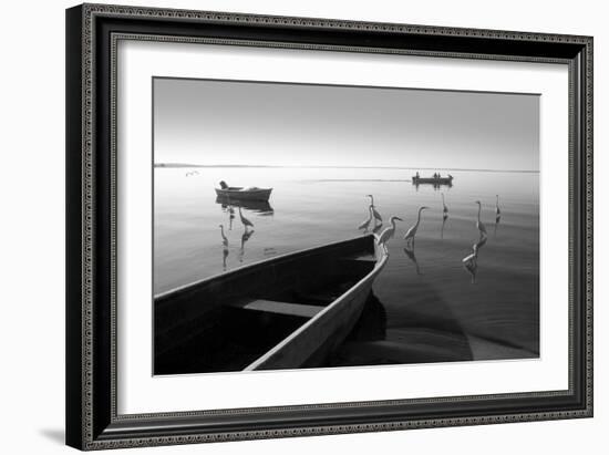 Herons and 3 Boats-Moises Levy-Framed Photographic Print