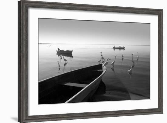 Herons and 3 Boats-Moises Levy-Framed Photographic Print