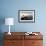 Herons and 3 Boats-Moises Levy-Framed Photographic Print displayed on a wall